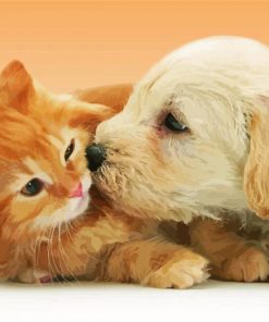 Cute Tabby Kitten And Golden Spaniel Puppy Diamond Paintings