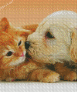 Cute Tabby Kitten And Golden Spaniel Puppy Diamond Paintings