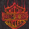 Fire Harley Davidson Logo Art Diamond Paintings