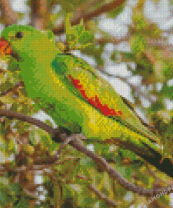 Green Australian King Parrot Diamond Paintings