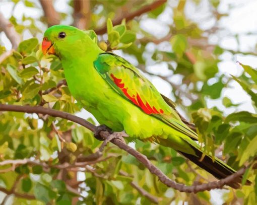 Green Australian King Parrot Diamond Paintings