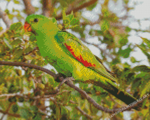 Green Australian King Parrot Diamond Paintings