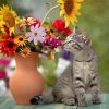 Grey Cat Smelling Flowers Diamond Paintings