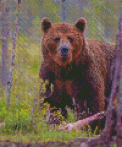 Grizzly Diamond Paintings