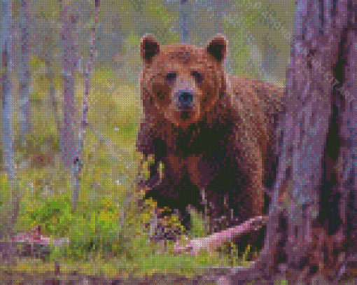 Grizzly Diamond Paintings