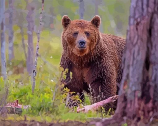 Grizzly Diamond Paintings