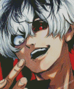 Haise Diamond Paintings