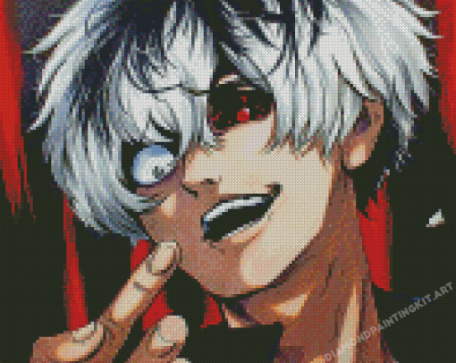 Haise Diamond Paintings