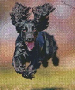 Happy Black Cocker Spaniel Diamond Paintings