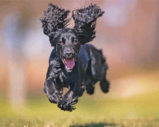 Happy Black Cocker Spaniel Diamond Paintings