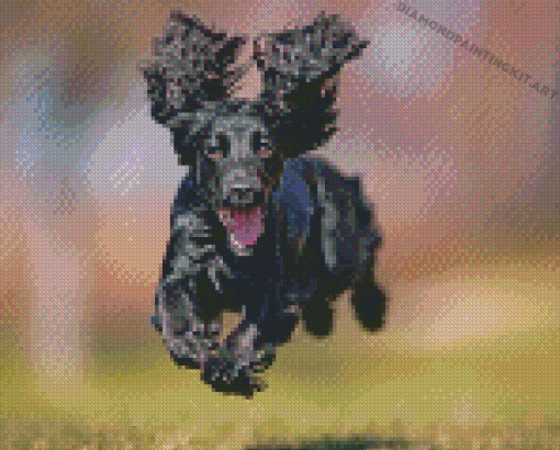 Happy Black Cocker Spaniel Diamond Paintings