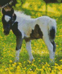 Horse Child In Flowers Field Diamond Paintings