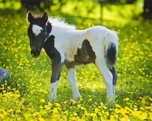 Horse Child In Flowers Field Diamond Paintings