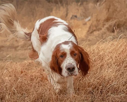 Irish Red White Setter Diamond Paintings