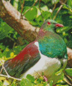 Kereru Bird Diamond Paintings