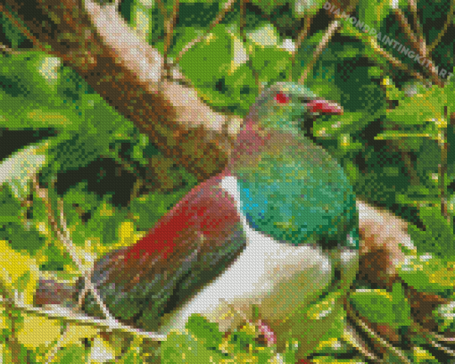 Kereru Bird Diamond Paintings