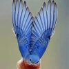 Mountain Bluebird Wings Diamond Paintings