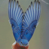 Mountain Bluebird Wings Diamond Paintings