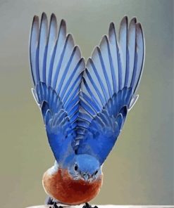 Mountain Bluebird Wings Diamond Paintings