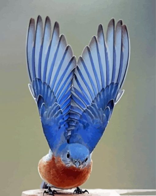 Mountain Bluebird Wings Diamond Paintings