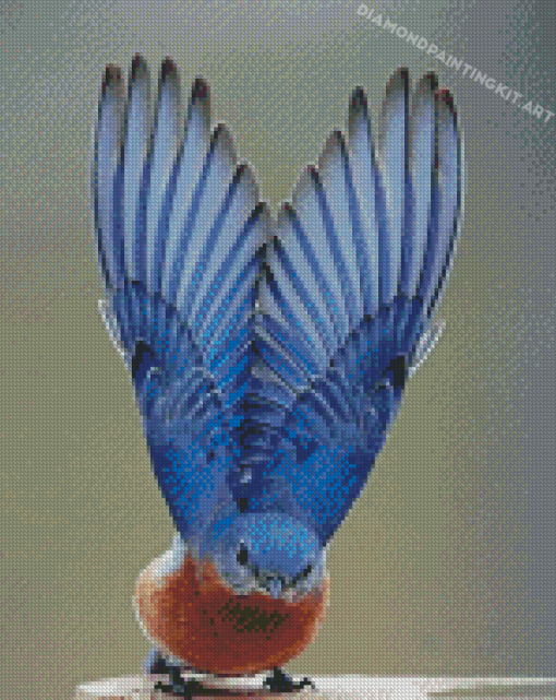 Mountain Bluebird Wings Diamond Paintings