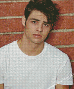 Noah Centineo Diamond Paintings