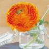 Orange Flowers Mason Jar Diamond Paintings