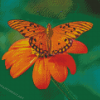 Orange Flowers And Butterfly Diamond Paintings