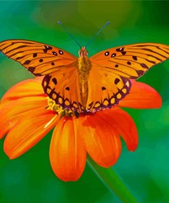 Orange Flowers And Butterfly Diamond Paintings