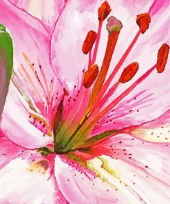 Pink Lily Diamond Paintings