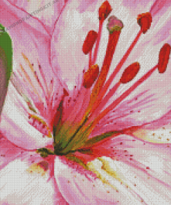 Pink Lily Diamond Paintings