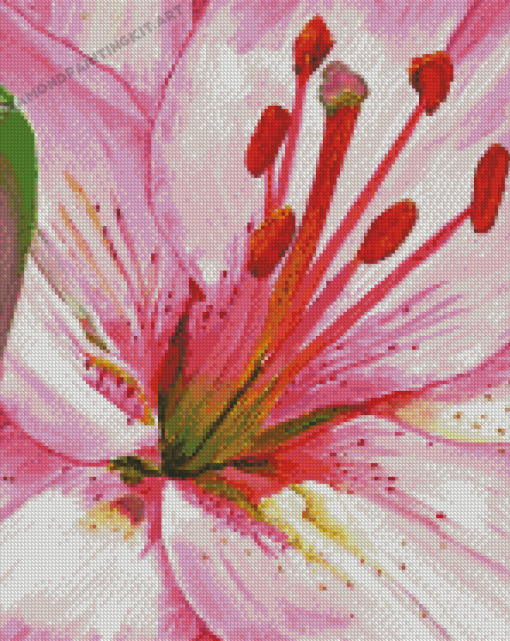 Pink Lily Diamond Paintings