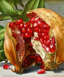 Pomegranate Diamond Paintings