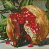 Pomegranate Diamond Paintings