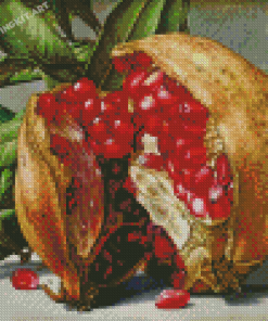 Pomegranate Diamond Paintings