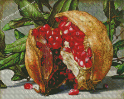 Pomegranate Diamond Paintings