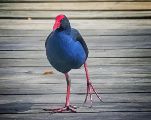 Pukeko Bird Diamond Paintings