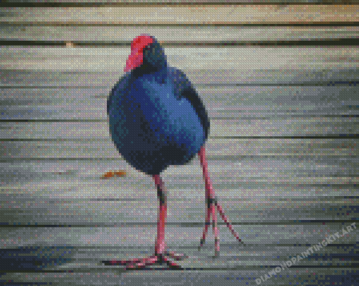 Pukeko Bird Diamond Paintings