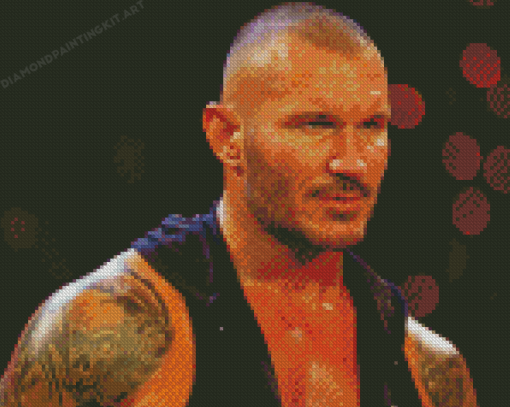 Randy Orton Wrestler Diamond Paintings