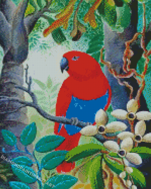 Red Eclectus Parrot Diamond Paintings