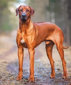 Rhodesian Ridgeback Dog Diamond Paintings