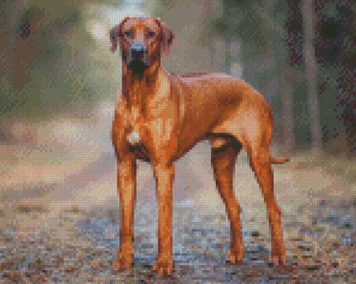 Rhodesian Ridgeback Dog Diamond Paintings