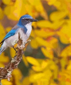 Scrub Jays Bird With Yellow Flowers Diamond Paintings