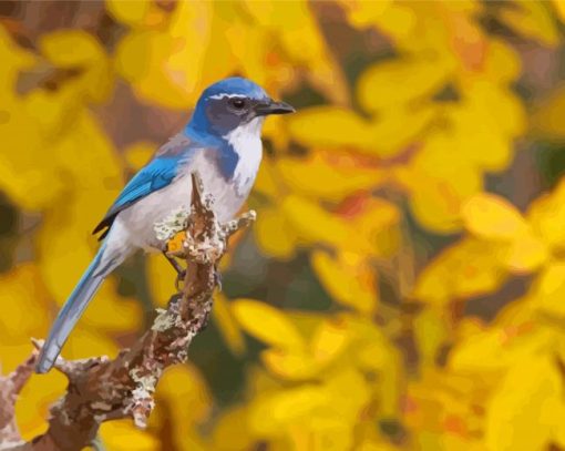 Scrub Jays Bird With Yellow Flowers Diamond Paintings