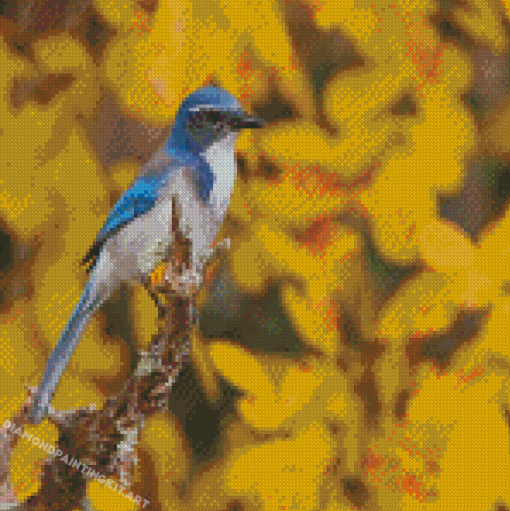 Scrub Jays Bird With Yellow Flowers Diamond Paintings