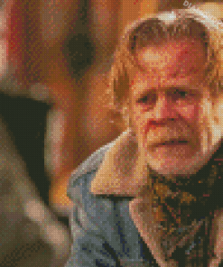 Shameless Frank Gallagher Diamond Paintings