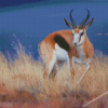 Springbok Diamond Paintings