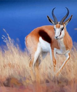 Springbok Diamond Paintings