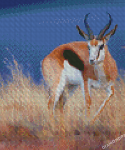 Springbok Diamond Paintings