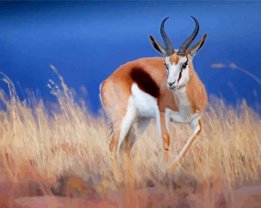 Springbok Diamond Paintings